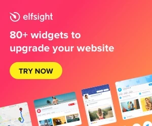 Elfsight Parner